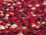 Wakeboarding a Cranberry Bog