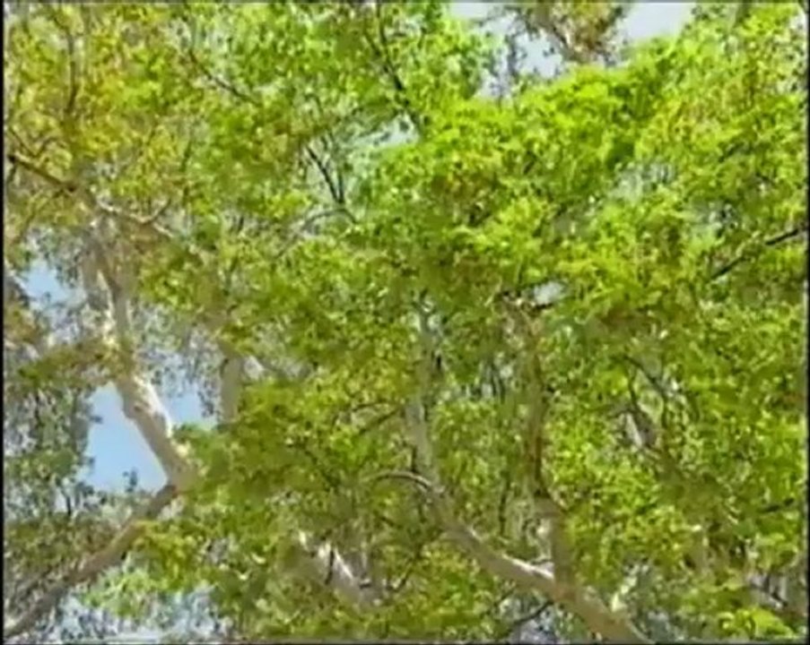 MORAL TV BARLADA DiRiLiS BÖLÜM 02