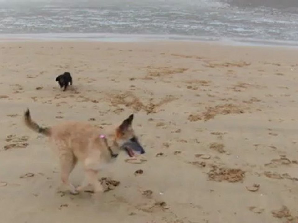 le trio sur la plage