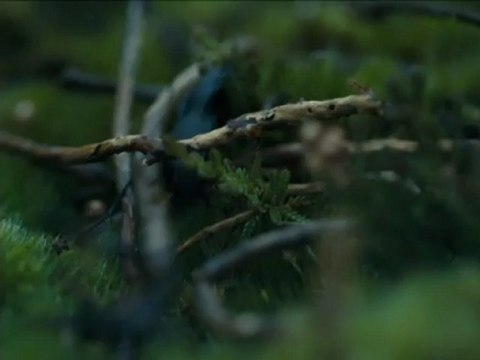 LES HAUTS DE HURLEVENT - Bande-annonce VO