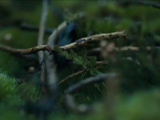 LES HAUTS DE HURLEVENT - Bande-annonce VO