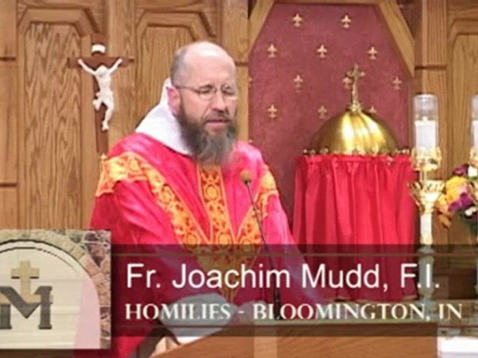 Oct 30 - Homily: Mustard Seeds and Yeast