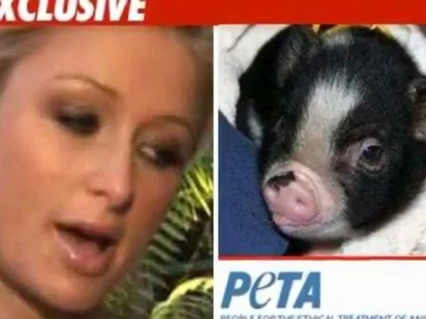 Biography Of YouTube Woman Basher Tommy SotoMayor - ( CloneMasterLW )