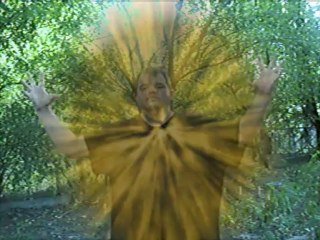 The David Show Disappeared