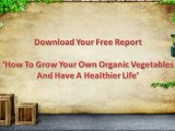 Organic Gardening - FREE Beginners Guide