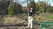 Scott Clark - Heritage HS (Fielding and Hitting Workout) 10.16.12