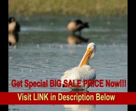 Nikon 500mm f/4.0G ED VR AF-S SWM Super Telephoto Lens for Nikon FX and DX Format Digital SLR