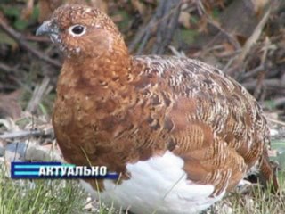 Актуально 30.10.2012