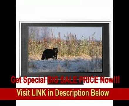 Sony Bravia XBR KDL-52XBR4 52-Inch 1080p LCD HDTV