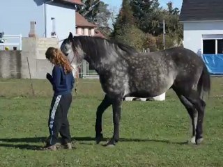 Joc apprentissage futur stick to me , céder à la pression