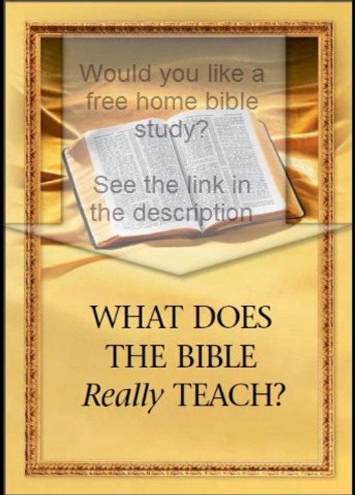 Free Home Bible Study at a Time to Suit You
