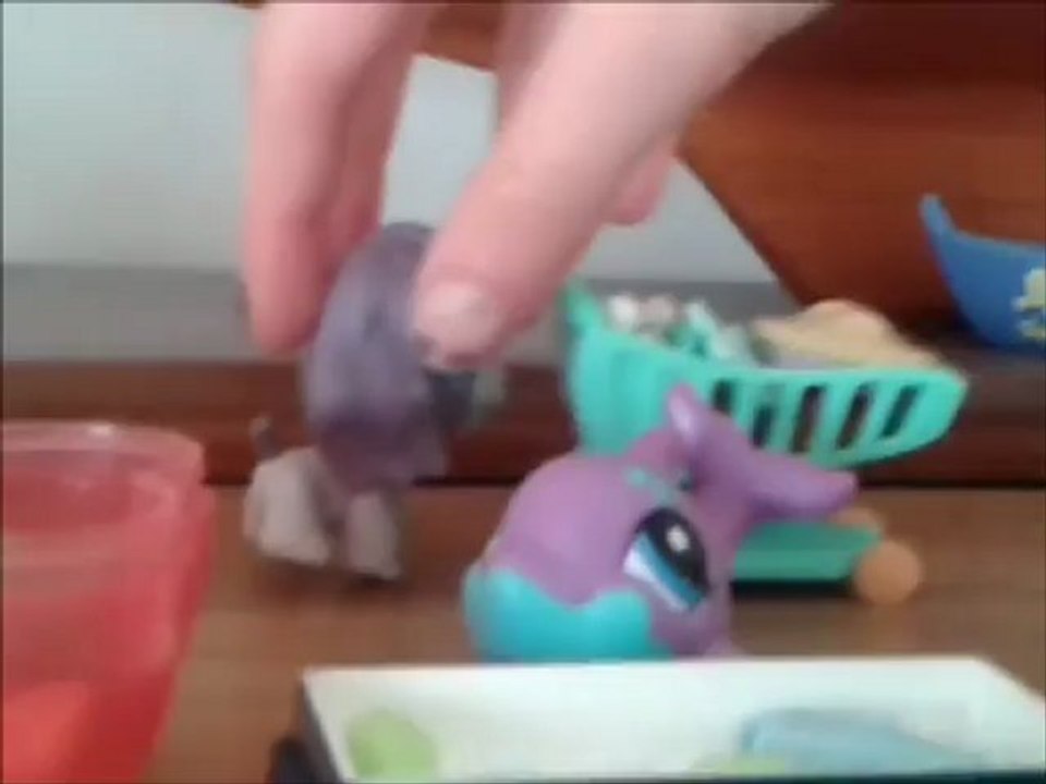 Littlest pet-shop "On veut ma peau" (Ep1 saison1)