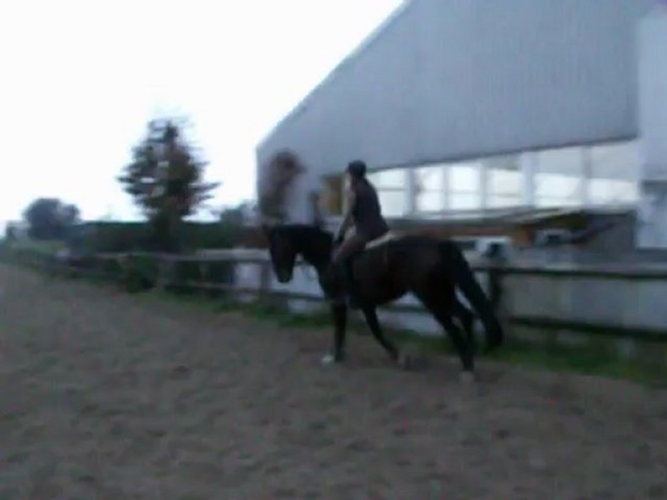 DSCF0780