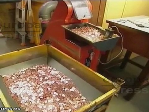 Entra en vigor nueva ley de lucha contra fraude fiscal