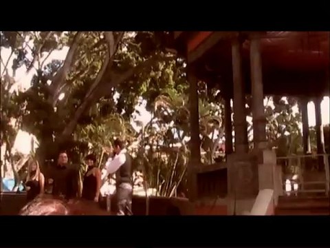 Danyssel cartas amarillas