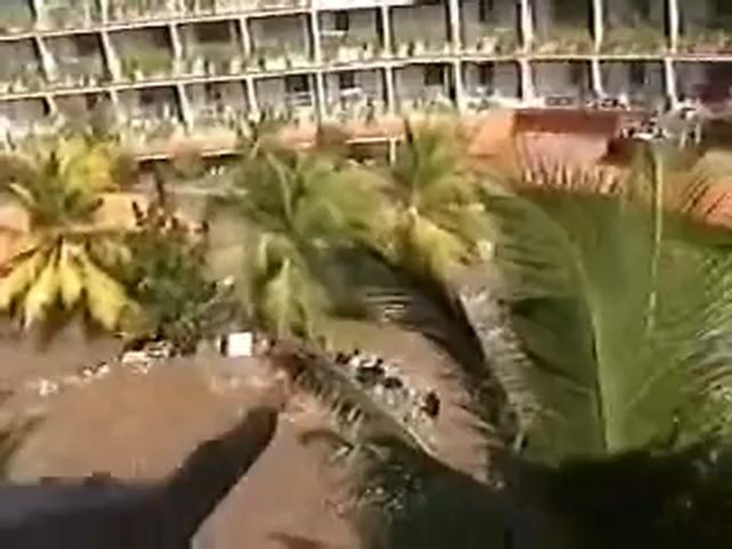 Tsunami Sri Lanka