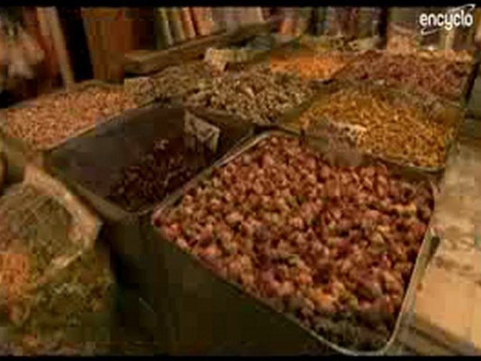 indélébiles empreintes de l'Islam dans les sciences