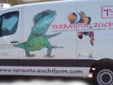 Terraristik-Online Cappeln (Oldenburg) TZ-TERRARISTIK ist eine Handelsmarke der TERRAVITA ZUCHTFARM, Karsten Mehnert