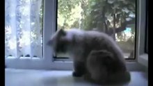 Ты убит!