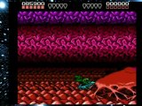Gaming with the Kwings - Battletoads Nes
