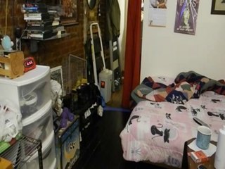 Feeding Time! 🥄 Three Times a Day