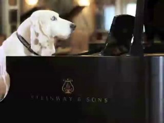 Paul Newman at the Piano