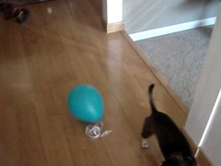 Crazy Rudy (popping balloons)