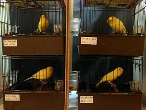 2 Tk 2012 H.İPEK 0533 471 26 58