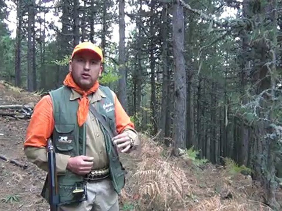 00019 ŞEF...ÇULLUK FERMA...1