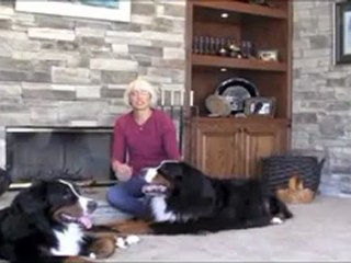 fireplace veneer  | veneer fireplace