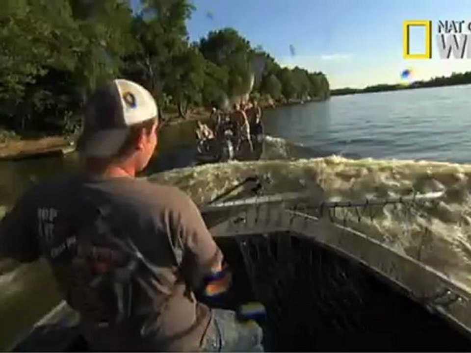 When Fish Attack Promo