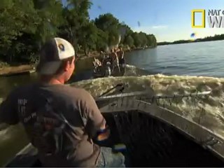 When Fish Attack Promo