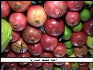 فلسطين هذا الصباح 31-1م 1 (1) (1)