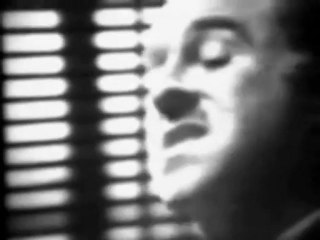 Hay que sacarse de encima a los mosquitos... probemos con ESPIRALES CARACOL