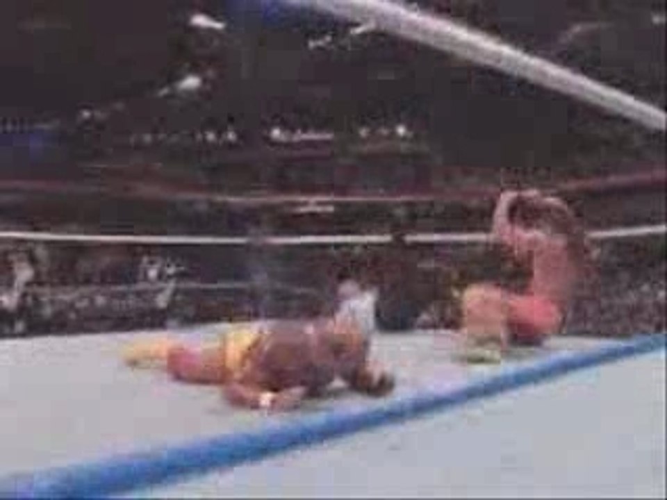 Vie de hulk hogan