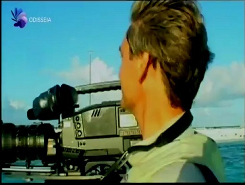 South Pacific Diaries - Shark Attack (Odisseia)