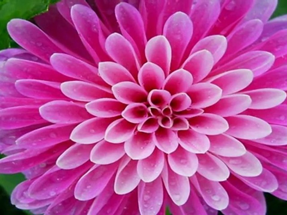 Sacred Science as Cosmic History 27-0