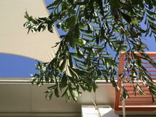 Rollläden Münster, Westf Markisen-Röwekamp