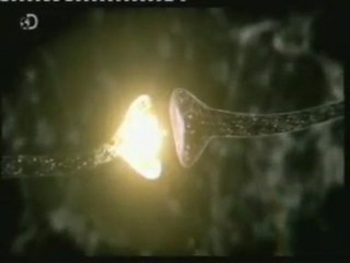 Cerebro: Los recuerdos