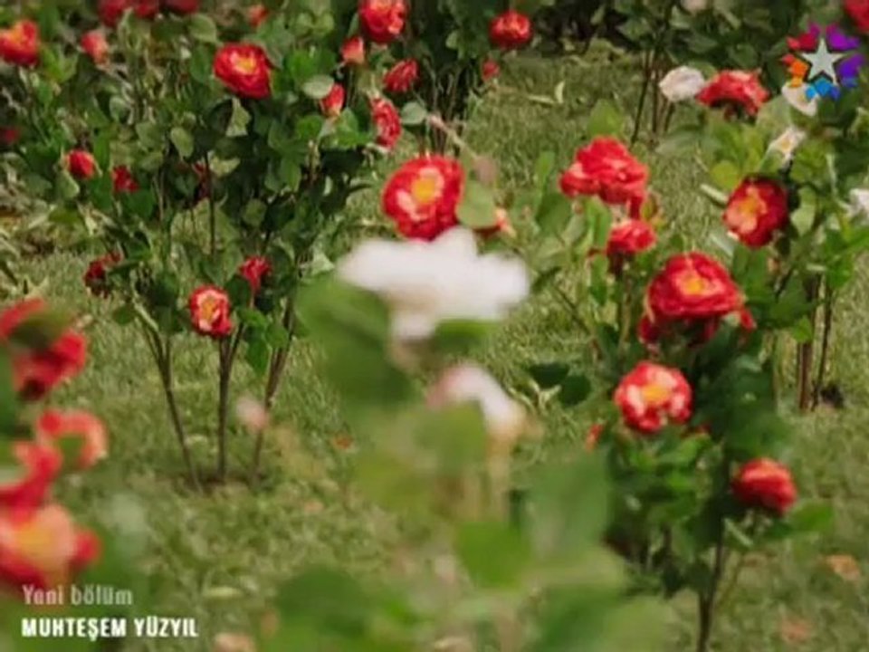 Muhtesem.Yuzyil.71.Bolum-HDFilmDiizle.com-003