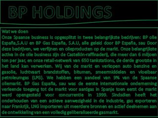 BP HOLDINGS - Wat we doen