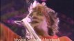 13 Maggie may Rod STEWART live 1984 [HD]