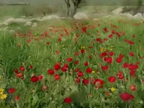 sesliefehan WwW.Sesliefehan.CoM WwW.Sesliefehan.CoM WwW.Sesliefehan.CoM Ay Buluta Girmis Gece Yarisi ( Uzun Hava ) Klip 2010