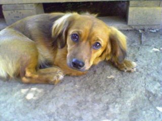 Prietenia noastra  - unsere Freundschaft.