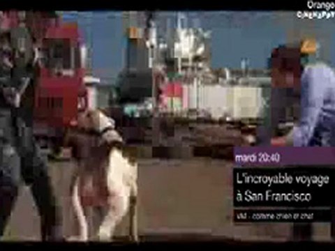 L'incroyable voyage à San-Francisco - Bande annonce