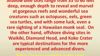 Enjoy a Hawaiian Scuba Diving Trip on Your Next Adventure