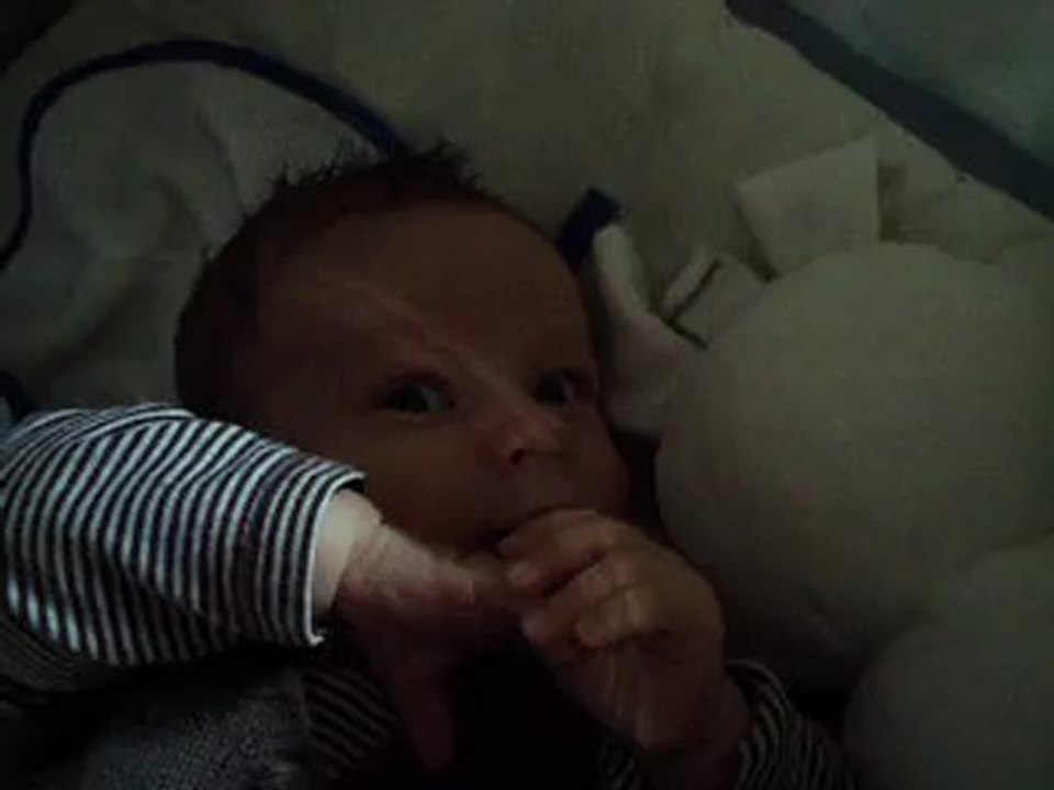 PL bébé (13)