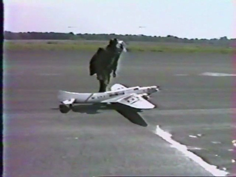 Arc en Ciel Orleans 2