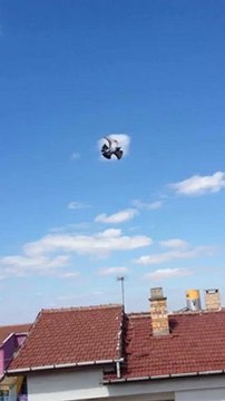 oyun kuşu yavru dumanlı 2