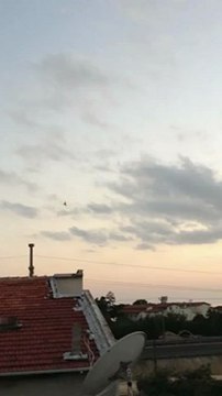 oyun kuşu yavru dumanlı 4